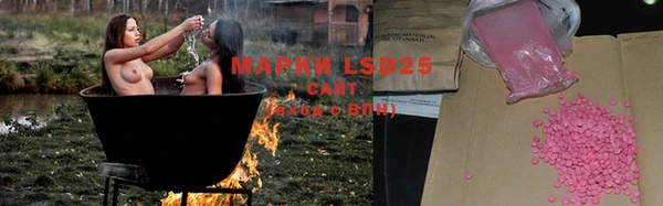 сатива Надым