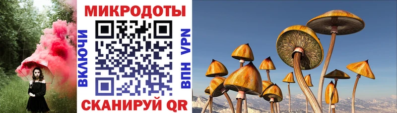 MEGA рабочий сайт  Тимашёвск  Галлюциногенные грибы ЛСД 
